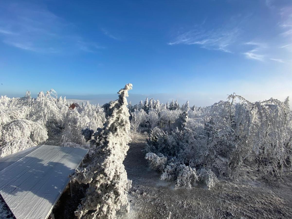Hotel Lugsteinhof Altenberg المظهر الخارجي الصورة
